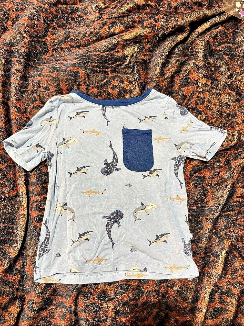 Kyte BABY Toddler Tee in Stream Shark Stream Shark Boys Gray & Navy 5T